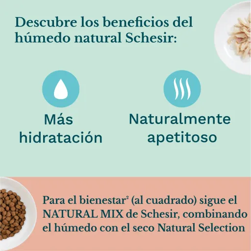 Pack 14 Schesir Tuna With Aloe For Cats In Gelatin 7 Pack 14 Schesir Tuna With Aloe For Cats In Gelatin - Image 5