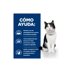 Hill's Digestive Care I/d -Pet Supplies-Cats Shop 052742041049 4 62bd5750dbc6e g