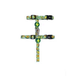 Dashi Harness With Leash Avocado For Cats