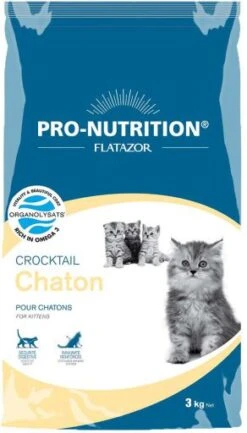 Flatazor Crocktail Kitten