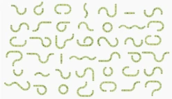 Catit Senses 2.0 Play Circuit -Pet Supplies-Cats Shop 115858 022517431542 2 3 g