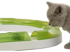 Catit Senses 2.0 Play Circuit -Pet Supplies-Cats Shop 115858 circuito senses catit 4 g