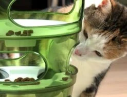 Catit Tree Senses Food Maze 2.0 Confectionary 11 Catit Tree Senses Food Maze 2.0 Confectionary -Pet Supplies-Cats Shop 115863 tree cat 1 g