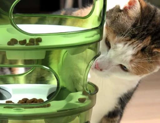 Catit Tree Senses Food Maze 2.0 Confectionary 5 Catit Tree Senses Food Maze 2.0 Confectionary - Image 3