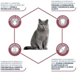 Advance Sterilized +10 11 Advance Sterilized +10 -Pet Supplies-Cats Shop 11859 3 3 g