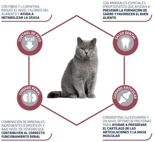 Advance Sterilized +10 5 Advance Sterilized +10 - Image 3