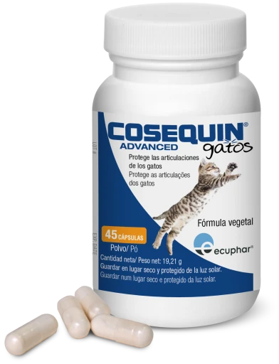Cosequin Condroprotector For Cats 3 Cosequin Condroprotector For Cats