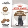 Royal Canin Ageing Sterilised +12 -Pet Supplies-Cats Shop 15327 0 g