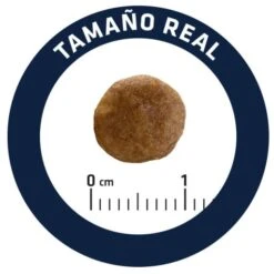 Advance Cat Sterilized Urinary Low Calorie -Pet Supplies-Cats Shop 165819 5 5 g