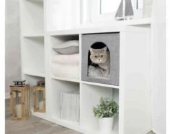 Pet Supplies-Cats Shop -Pet Supplies-Cats Shop 167978 00001 1 g