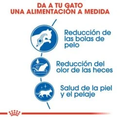 Royal Canin Indoor Long Hair -Pet Supplies-Cats Shop 188601 3 2 g