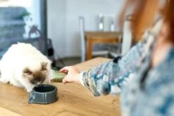 HPM Veterinary U2 Urology Dissolution & Prevention -Pet Supplies-Cats Shop 2018 03 07 47 64256c53d313b g