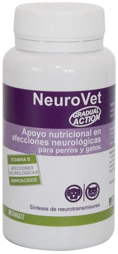 Gradual Action G.A.Neuro
