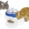 Catit Bebedero Fuente 3L Con Comedero -Pet Supplies-Cats Shop 29673 catit design fresh clear cat drinking fountain with food bowl 1 g