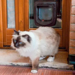 Ferplast Swing Microchip White -Pet Supplies-Cats Shop 3 0190005810 1800x1800 63ac2e945fd48 g