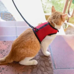 Ferplast Harness For Jogging -Pet Supplies-Cats Shop 3 0190016320 1800x1800 63ac0cc7cdbb7 g