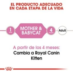 Pack 12 Royal Canin Mother & Babycat Wet Food For Kittens And Nursing Cats -Pet Supplies-Cats Shop 3446 2 g