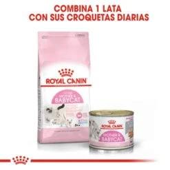 Pack 12 Royal Canin Mother & Babycat Wet Food For Kittens And Nursing Cats -Pet Supplies-Cats Shop 3446 5 g