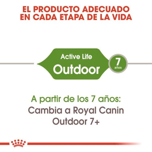 Royal Canin Outdoor 30 Feline 6 Royal Canin Outdoor 30 Feline - Image 4