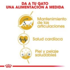 Royal Canin Maine Coon 31 -Pet Supplies-Cats Shop 3459 1 g