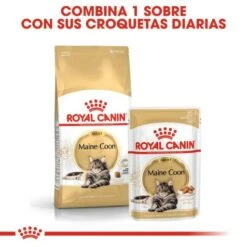 Royal Canin Maine Coon 31 -Pet Supplies-Cats Shop 3459 6 g