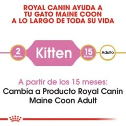 Royal Canin Maine Coon Kitten 36 -Pet Supplies-Cats Shop 3466 1 g