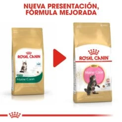Royal Canin Maine Coon Kitten 36 -Pet Supplies-Cats Shop 3466 6 g