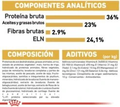 Royal Canin Maine Coon Kitten 36 -Pet Supplies-Cats Shop 3466 7 g