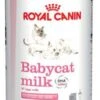 Royal Canin Babycat Milk 2 Royal Canin Babycat Milk -Pet Supplies-Cats Shop 3977 3182550710862 1 g