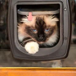 Ferplast Swing Microchip White -Pet Supplies-Cats Shop 4 0190005808 1800x1800 63ac2e972df87 g