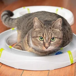 Ferplast Typhon Circuit -Pet Supplies-Cats Shop 4 0190014515 1800x1800 63ac4a018e455 g