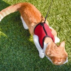 Ferplast Harness For Jogging -Pet Supplies-Cats Shop 4 0190016321 1800x1800 63ac0ccb0cee4 g