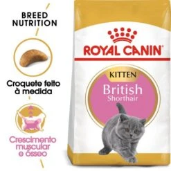 Royal Canin Kitten British Shorthair