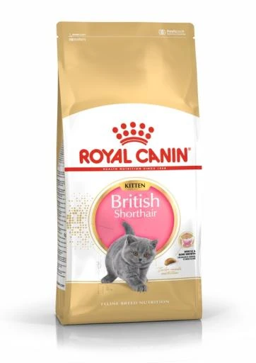 Royal Canin Kitten British Shorthair 4 Royal Canin Kitten British Shorthair - Image 2