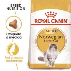 Royal Canin Norweigan Forest Cat