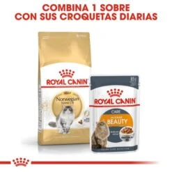 Royal Canin Norweigan Forest Cat -Pet Supplies-Cats Shop 42931 7 g