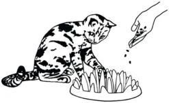 Karlie Flamingo Northmate ® Catch 27X23X8Cm 9 Karlie Flamingo Northmate ® Catch 27X23X8Cm -Pet Supplies-Cats Shop 49728 catch illustration v01 4 g