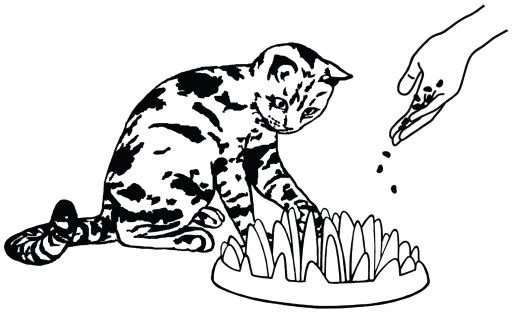 Karlie Flamingo Northmate ® Catch 27X23X8Cm 6 Karlie Flamingo Northmate ® Catch 27X23X8Cm - Image 4