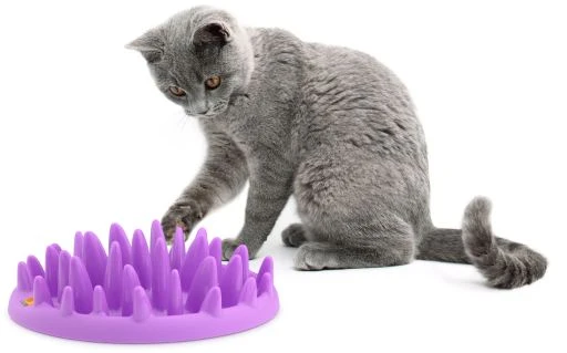 Karlie Flamingo Northmate ® Catch 27X23X8Cm 3 Karlie Flamingo Northmate ® Catch 27X23X8Cm