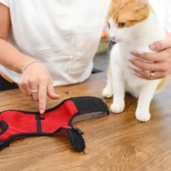 Ferplast Harness For Jogging -Pet Supplies-Cats Shop 5 0190016322 1800x1800 63ac0ccdf09a4 g