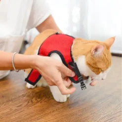 Ferplast Harness For Jogging -Pet Supplies-Cats Shop 6 0190016323 1800x1800 63ac0cd0d4d4a g