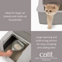 Catit Grey Removable Door Sandbox -Pet Supplies-Cats Shop 61P9cFvNpXL AC SL1140 64774229e1b92 g