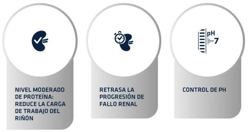 Advance Vet Diets Renal Care 6 Advance Vet Diets Renal Care - Image 4