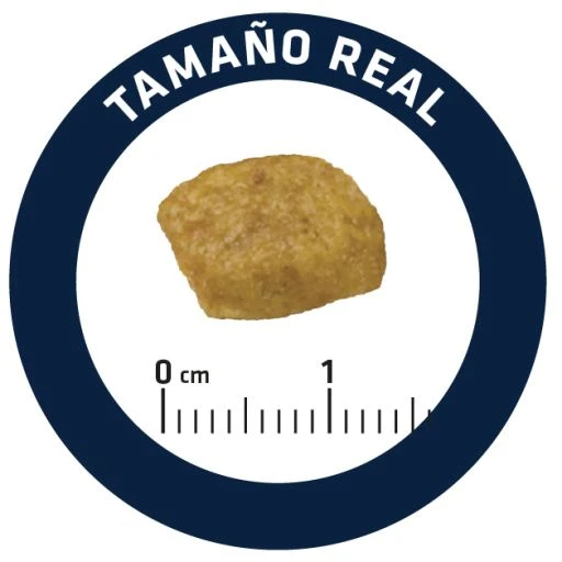 Advance Vet Diets Renal Care 7 Advance Vet Diets Renal Care - Image 5