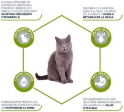 Advance Young Sterilized 10 Advance Young Sterilized -Pet Supplies-Cats Shop 67756 3 3 g