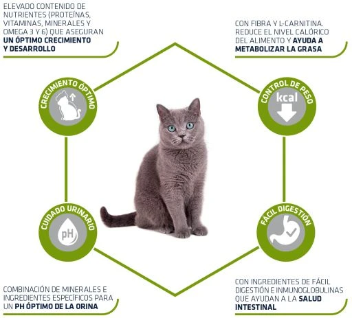 Advance Young Sterilized 5 Advance Young Sterilized - Image 3