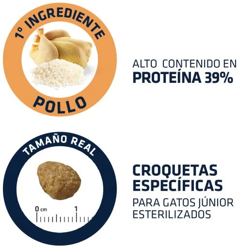 Advance Young Sterilized 6 Advance Young Sterilized - Image 4