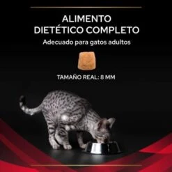 Pro Plan Veterinary Diets DM Diabetes Management Feline -Pet Supplies-Cats Shop 7613035159822 3 63690d68ba84c g