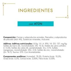 Pack 24 Gourmet Gold Fondant Tuna -Pet Supplies-Cats Shop 7613036227124 6 631eee9949b6f g