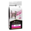 Pro Plan Veterinary Diets UR Urinary -Pet Supplies-Cats Shop 7613287587701 1 636a0d7a4efb4 g